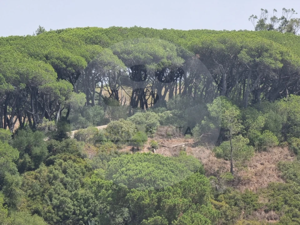 Terreno P/ Prédio para Venda em Sesimbra (Castelo) Foto 25