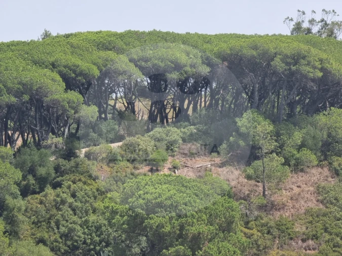 Terreno P/ Prédio para Venda em Sesimbra (Castelo) Foto 25