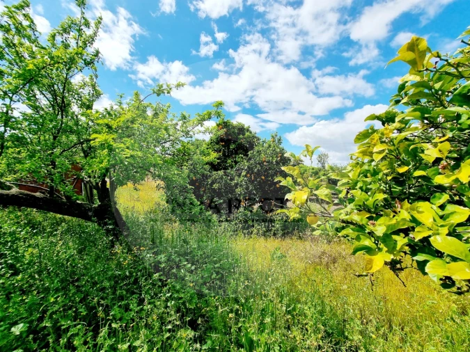 Quinta T3 para Venda em São Francisco Foto 16