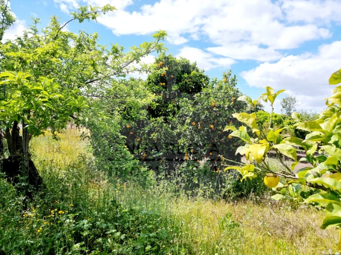 Quinta T3 para Venda em São Francisco Foto 18