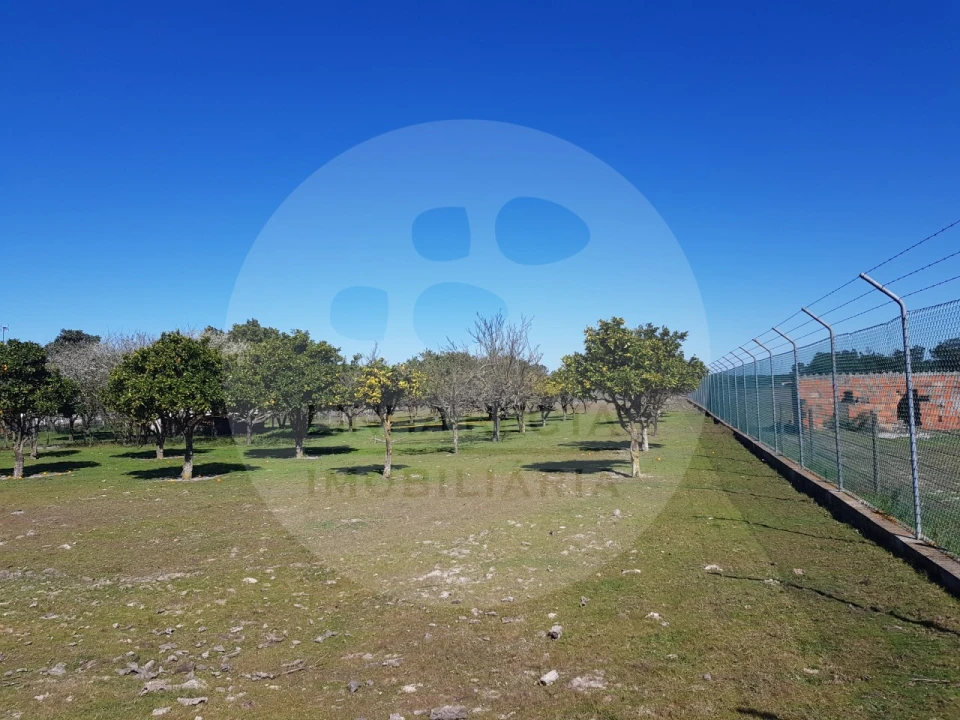 Quinta T5 para Venda em Grândola e Santa Margarida da Serra Foto 5
