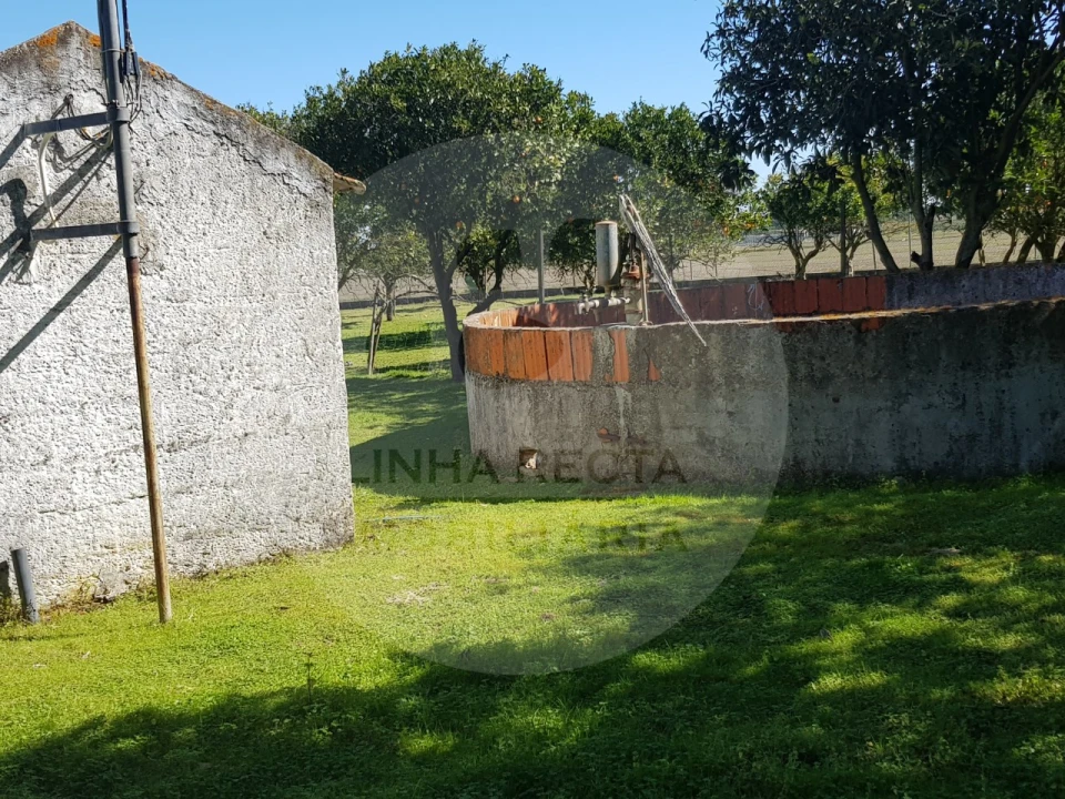 Quinta T5 para Venda em Grândola e Santa Margarida da Serra Foto 19