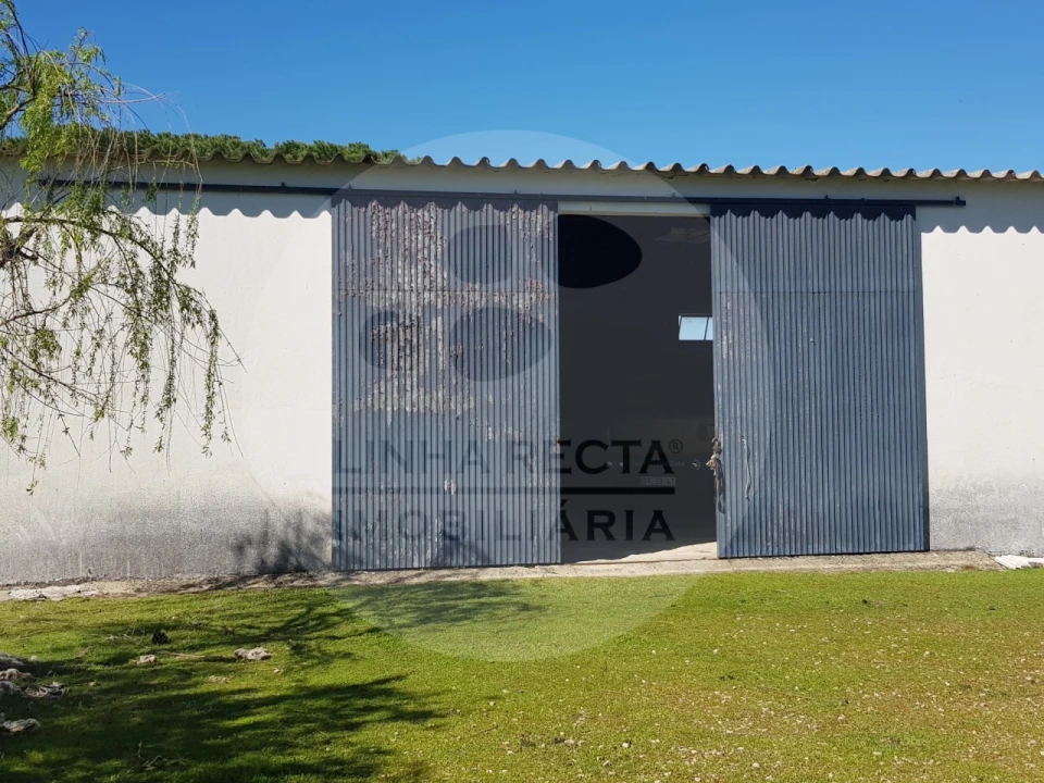 Quinta T5 para Venda em Grândola e Santa Margarida da Serra Foto 10