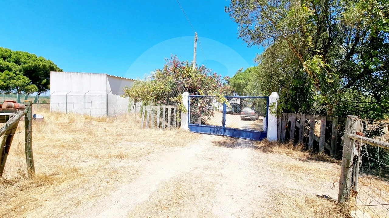 Quinta T5 para Venda em Grândola e Santa Margarida da Serra Foto 8