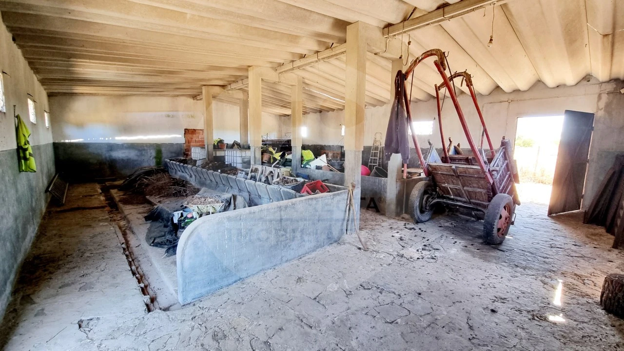 Quinta T5 para Venda em Grândola e Santa Margarida da Serra Foto 18