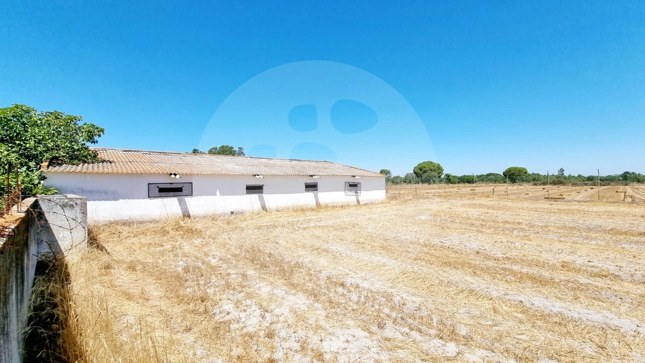Quinta T5 para Venda em Grândola e Santa Margarida da Serra Foto 6