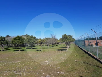 Quinta T5 para Venda em Grândola e Santa Margarida da Serra