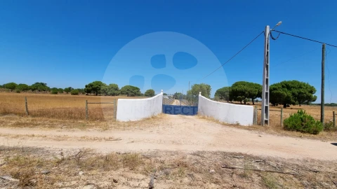 Quinta T5 para Venda em Grândola e Santa Margarida da Serra