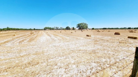Quinta T5 para Venda em Grândola e Santa Margarida da Serra