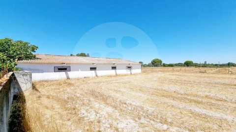 Quinta T5 para Venda em Grândola e Santa Margarida da Serra