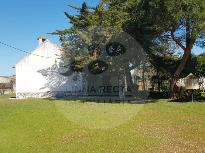 Quinta T5 para Venda em Grândola e Santa Margarida da Serra Foto 2