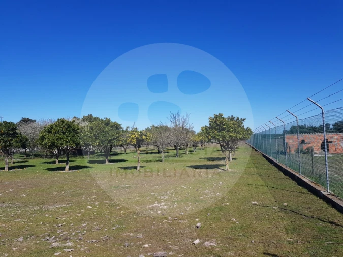 Quinta T5 para Venda em Grândola e Santa Margarida da Serra Foto 5