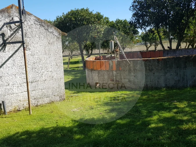 Quinta T5 para Venda em Grândola e Santa Margarida da Serra Foto 19