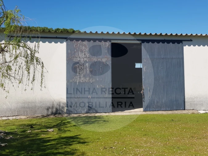 Quinta T5 para Venda em Grândola e Santa Margarida da Serra Foto 10