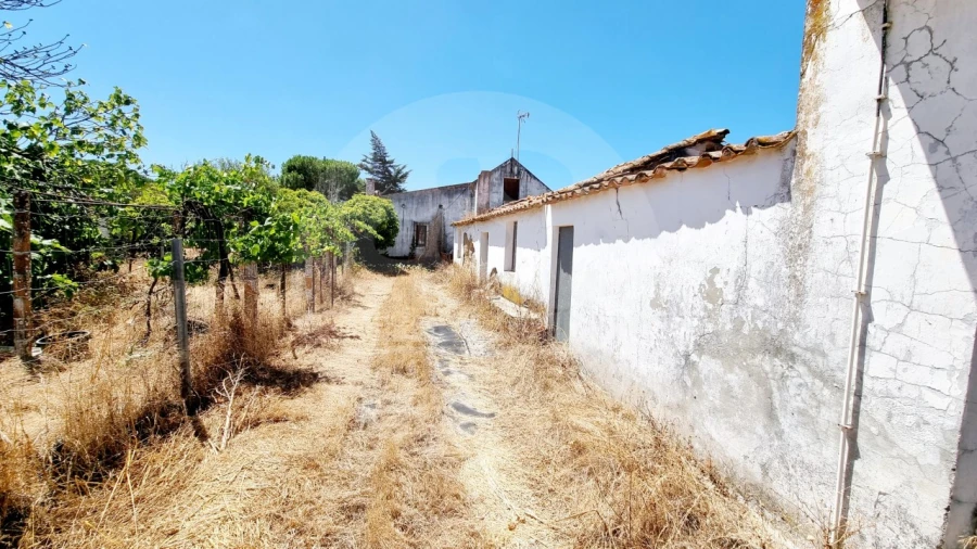 Quinta T5 para Venda em Grândola e Santa Margarida da Serra Foto 17