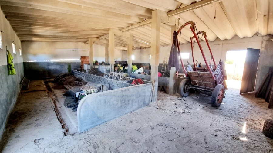 Quinta T5 para Venda em Grândola e Santa Margarida da Serra Foto 18