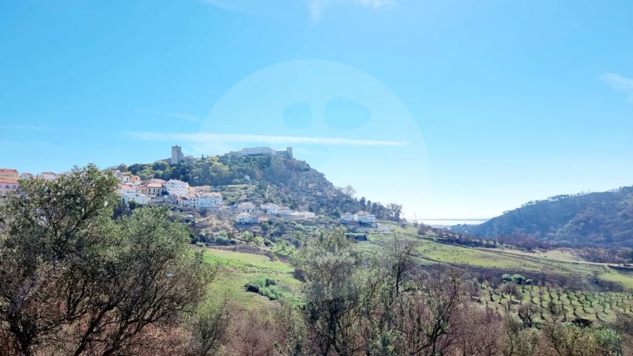 Negócio para Venda em Palmela Foto 7