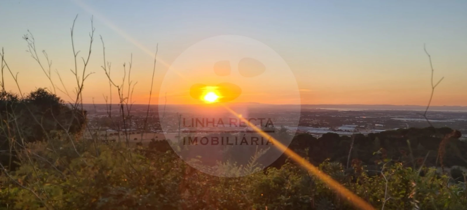 Terreno Agricola ou Rústico para Venda em Palmela Foto 1