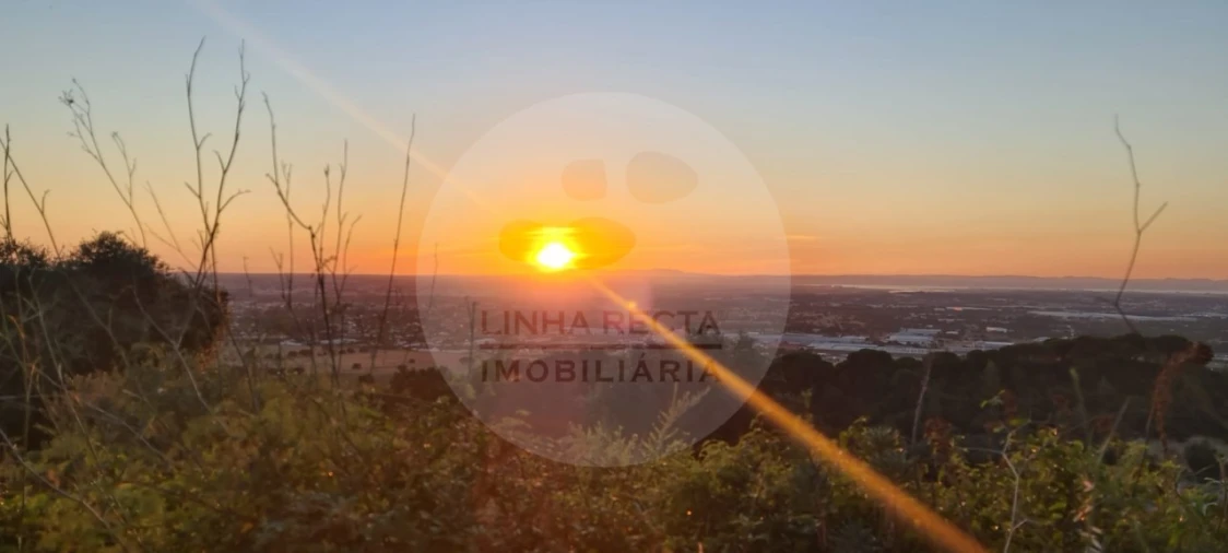 Terreno Agricola ou Rústico para Venda em Palmela