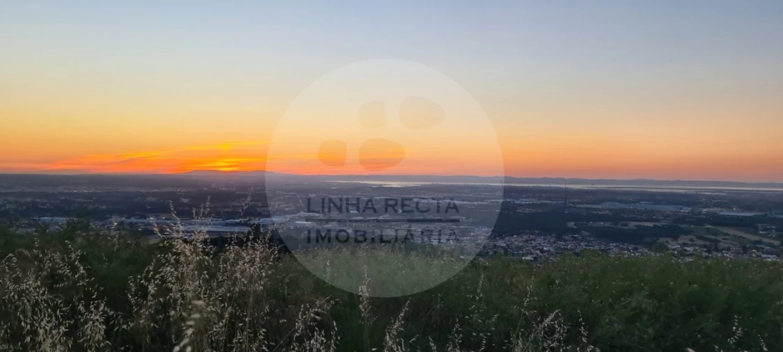 Terreno Agricola ou Rústico para Venda em Palmela Foto 5