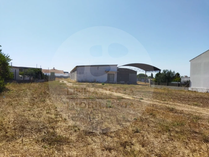 Armazém para Venda em Quinta do Anjo Foto 3