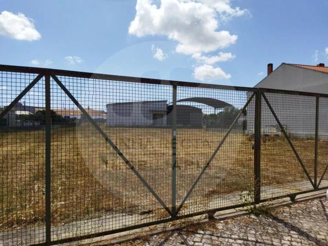Armazém para Venda em Quinta do Anjo Foto 4