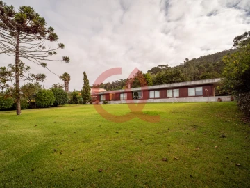 Moradia T3 para Venda em Carreço