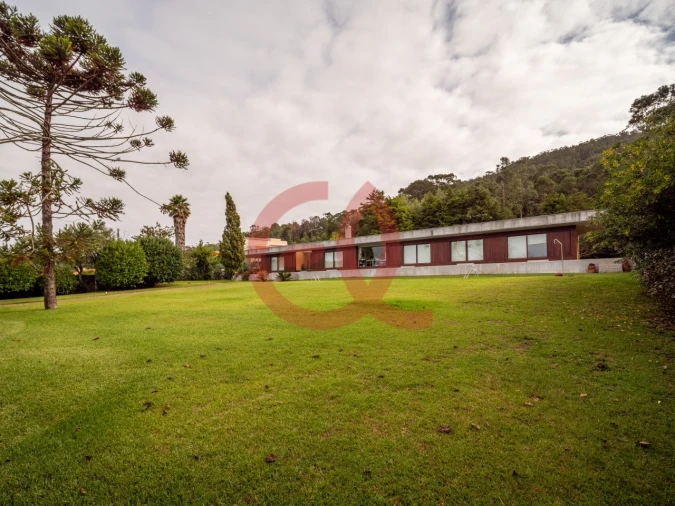 Moradia T3 para Venda em Carreço Foto 4