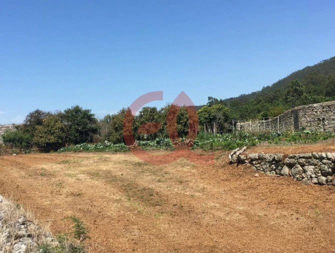 Quinta T4 para Venda em Carreço Foto 4