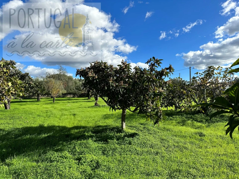 Moradia para Venda em São Brás de Alportel Foto 23