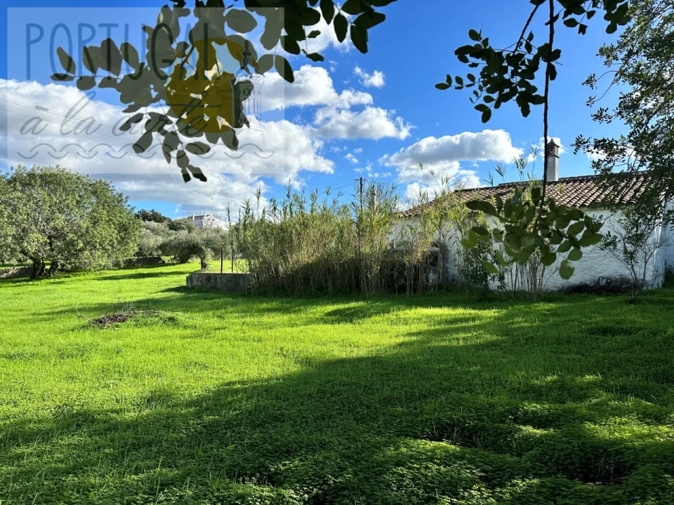 Moradia para Venda em São Brás de Alportel Foto 21