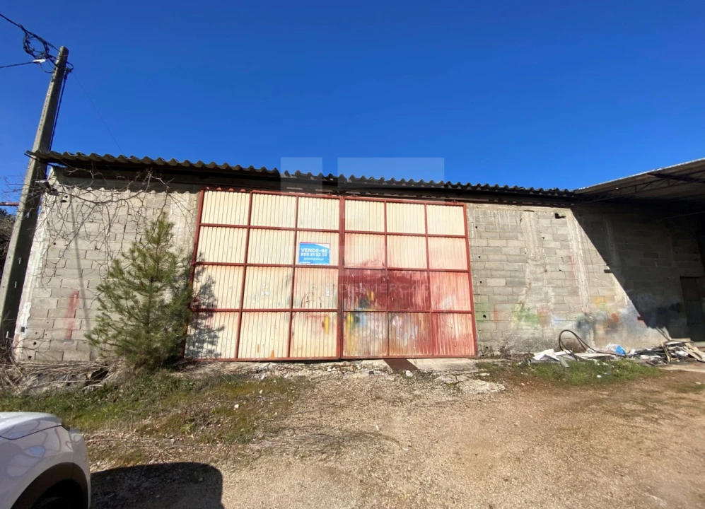 Armazém para Venda em Sernancelhe e Sarzeda Foto 4