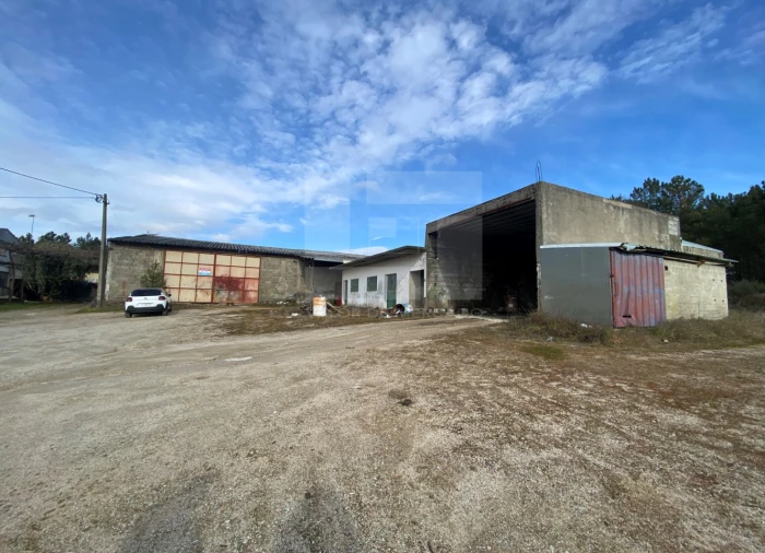 Armazém para Venda em Sernancelhe e Sarzeda Foto 1