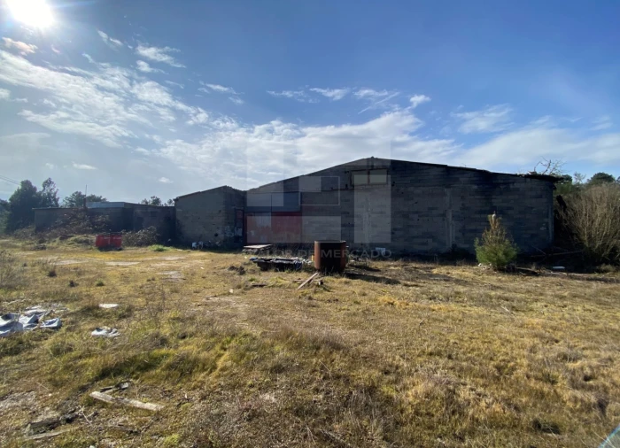 Armazém para Venda em Sernancelhe e Sarzeda Foto 3