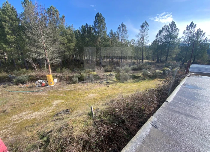 Armazém para Venda em Sernancelhe e Sarzeda Foto 7
