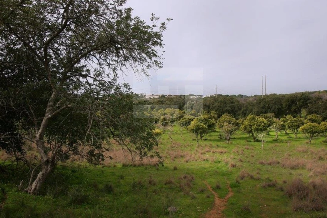 Quinta T25 para Venda em Albufeira e Olhos de Água Foto 24