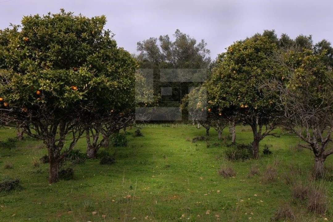 Quinta T25 para Venda em Albufeira e Olhos de Água Foto 27