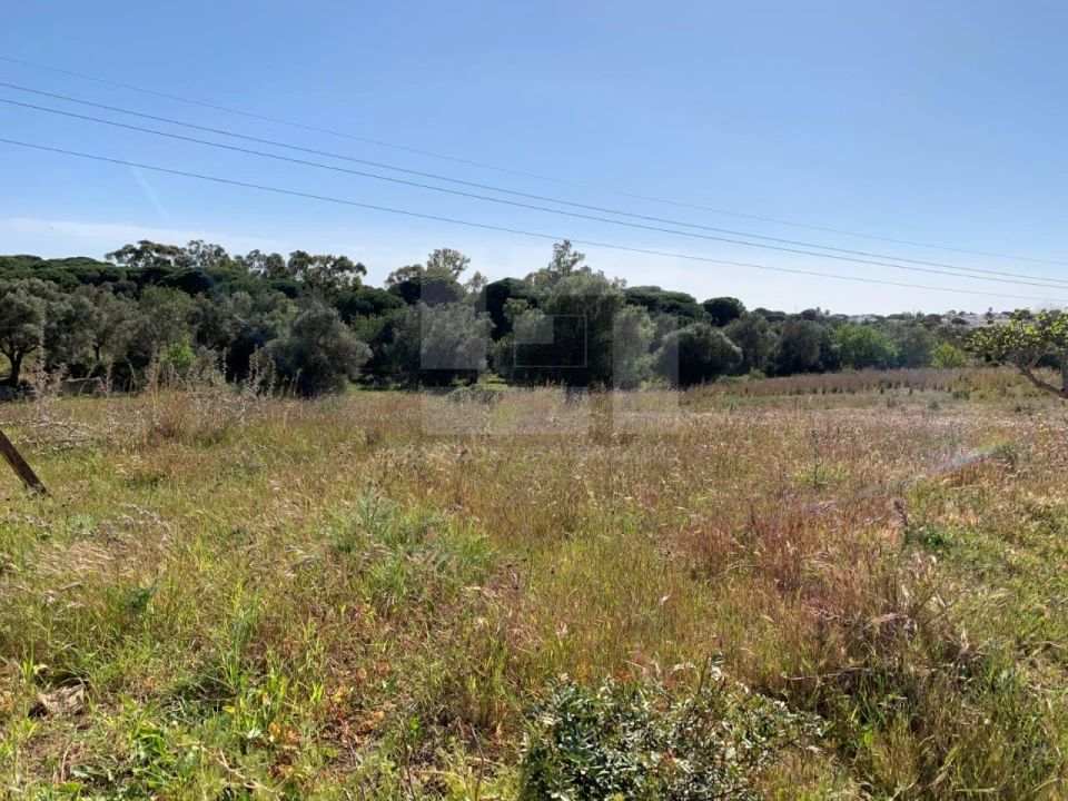 Quinta T25 para Venda em Albufeira e Olhos de Água Foto 30