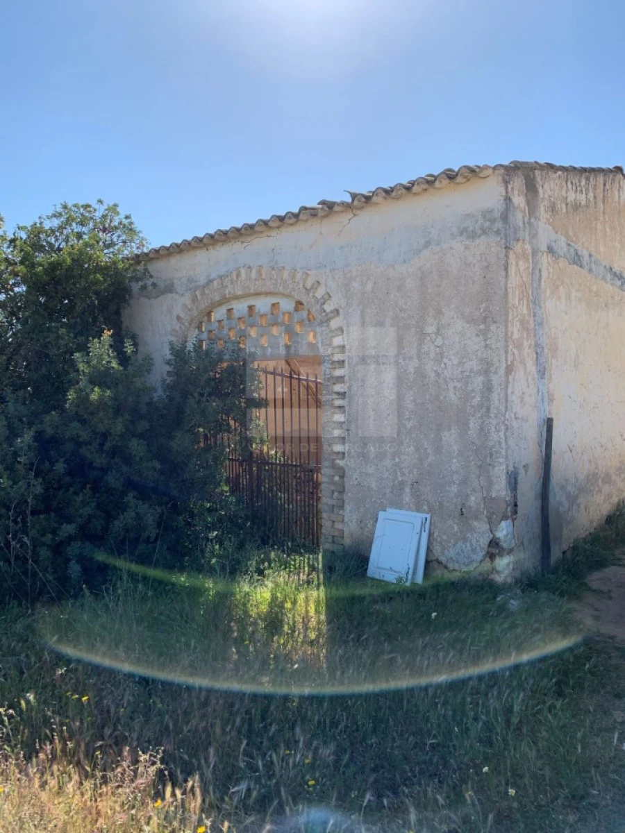 Quinta T25 para Venda em Albufeira e Olhos de Água Foto 32
