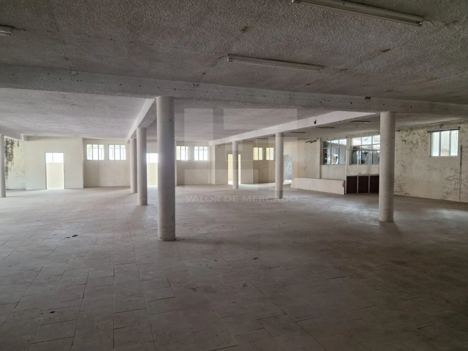 Armazém para Venda em Mangualde, Mesquitela e Cunha Alta Foto 19