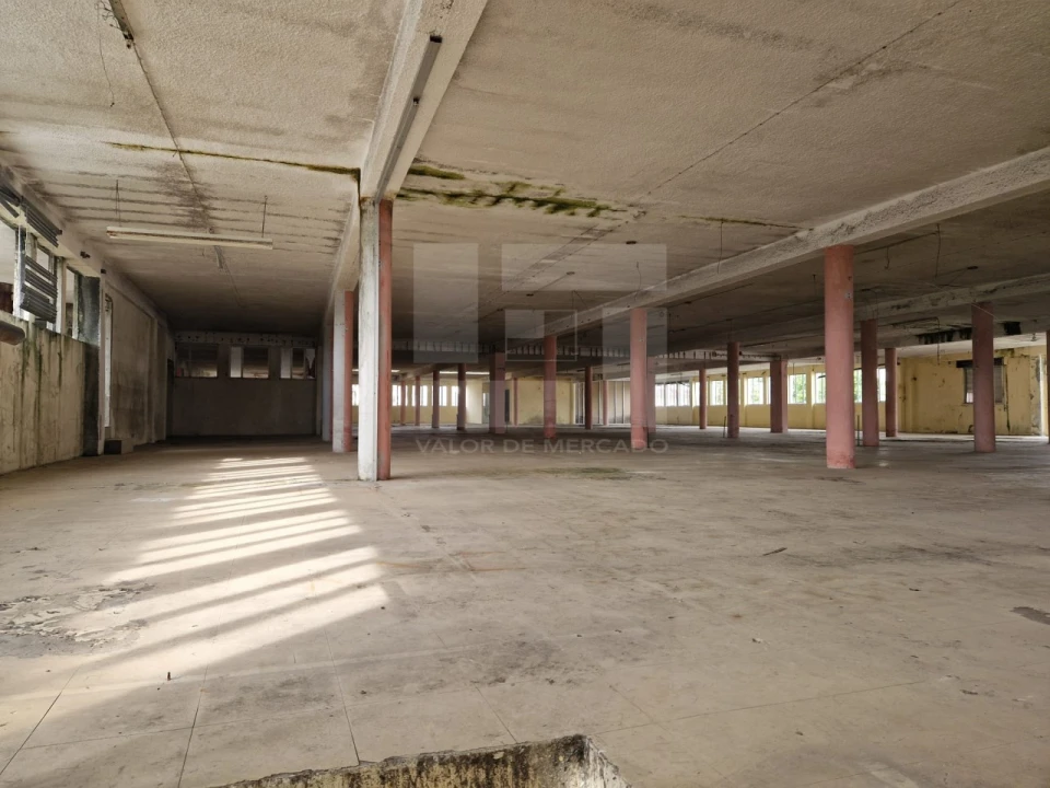 Armazém para Venda em Mangualde, Mesquitela e Cunha Alta Foto 24