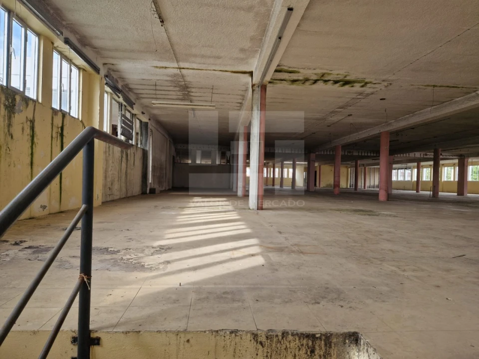 Armazém para Venda em Mangualde, Mesquitela e Cunha Alta Foto 25