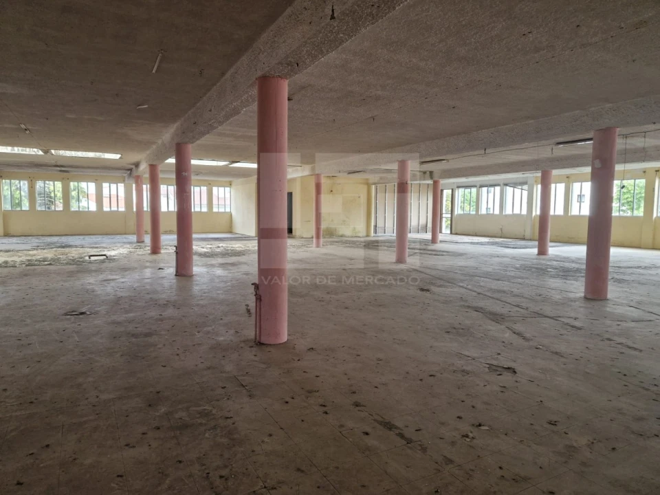 Armazém para Venda em Mangualde, Mesquitela e Cunha Alta Foto 29