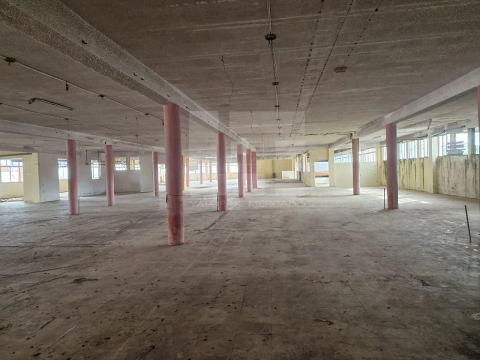 Armazém para Venda em Mangualde, Mesquitela e Cunha Alta Foto 30