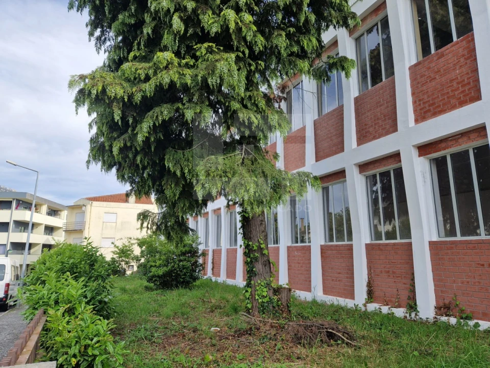 Armazém para Venda em Mangualde, Mesquitela e Cunha Alta Foto 41