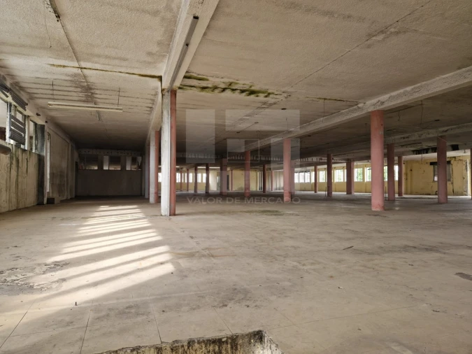 Armazém para Venda em Mangualde, Mesquitela e Cunha Alta Foto 24