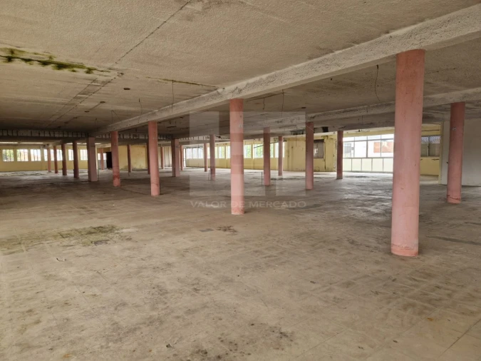 Armazém para Venda em Mangualde, Mesquitela e Cunha Alta Foto 26