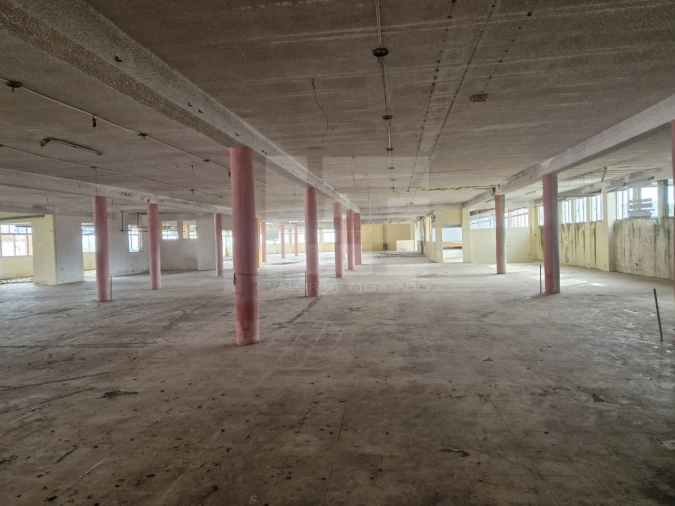 Armazém para Venda em Mangualde, Mesquitela e Cunha Alta Foto 30