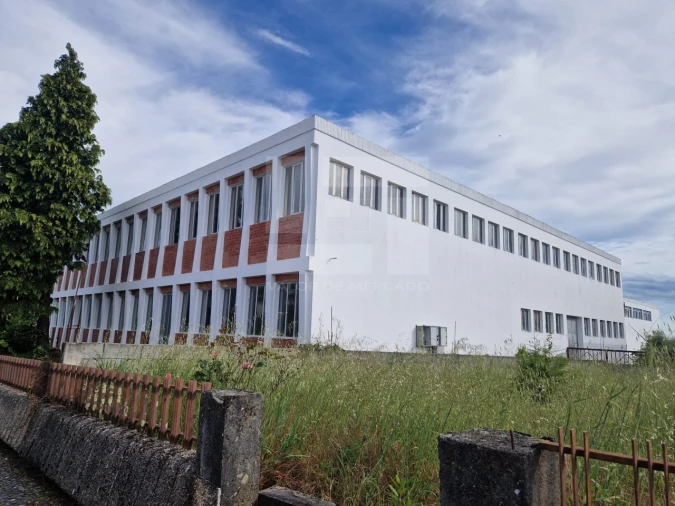 Armazém para Venda em Mangualde, Mesquitela e Cunha Alta Foto 38