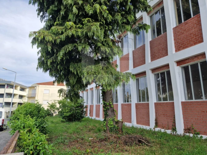 Armazém para Venda em Mangualde, Mesquitela e Cunha Alta Foto 41